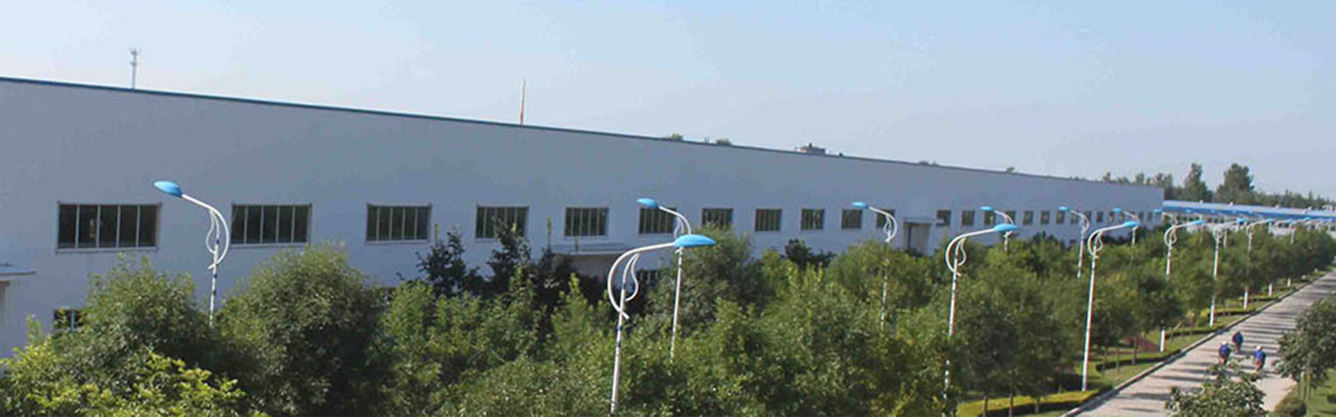 Liaocheng Sanyou Sunshine Import & Export Co., Ltd. 